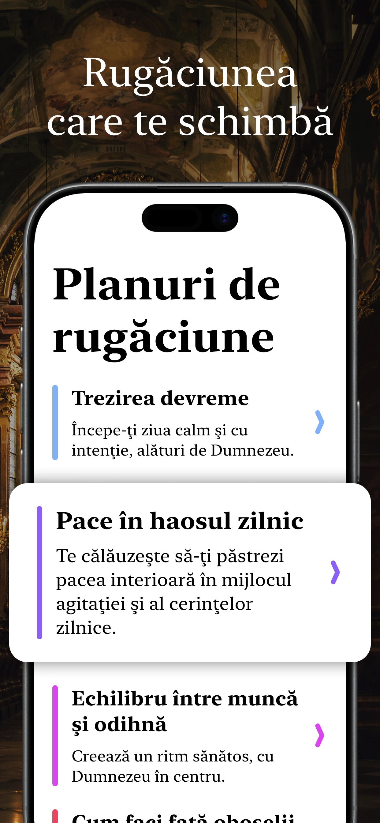 Previzualizare aplicație